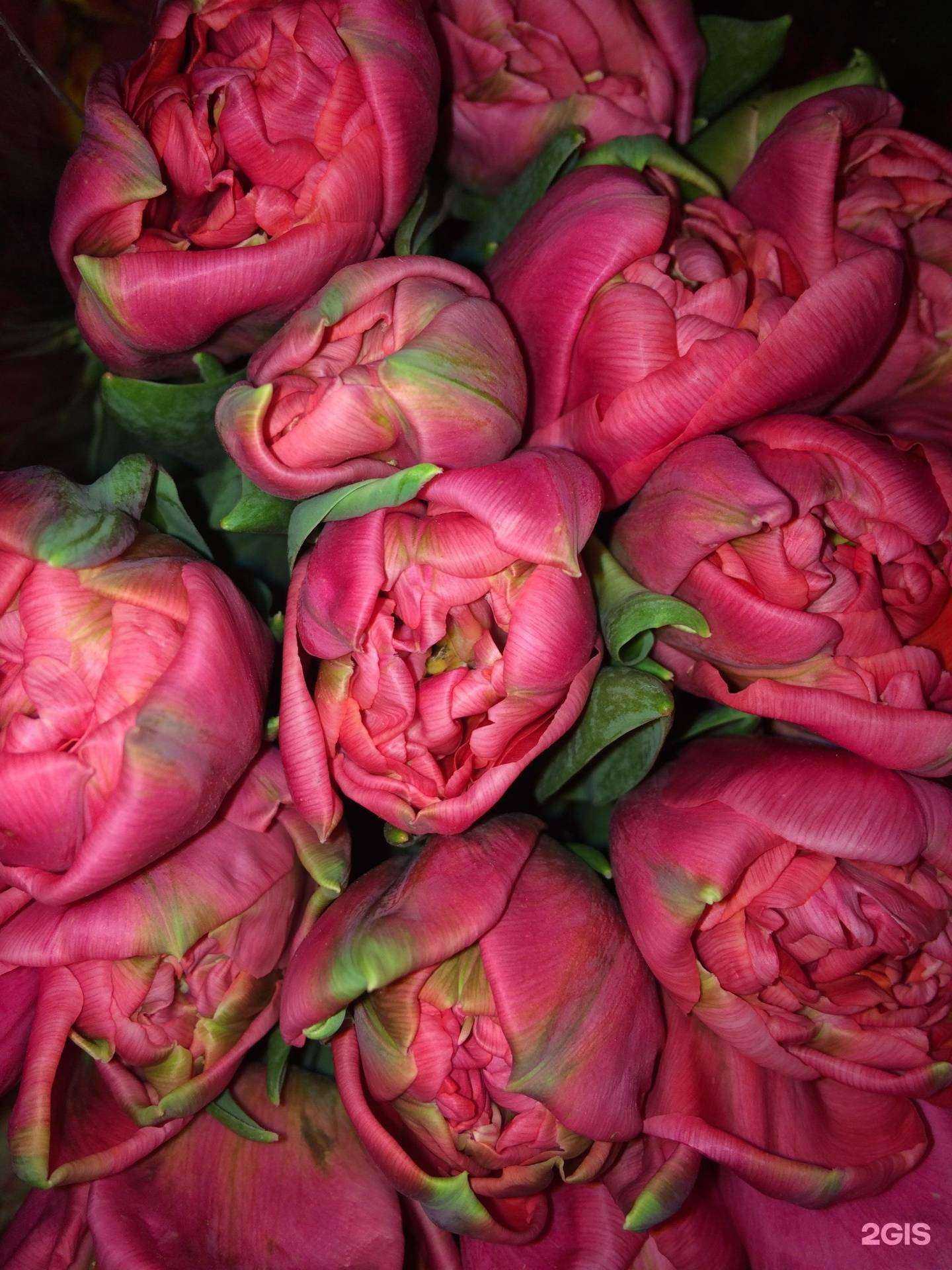 Отзывы на компанию Розы любви в Томске c фото