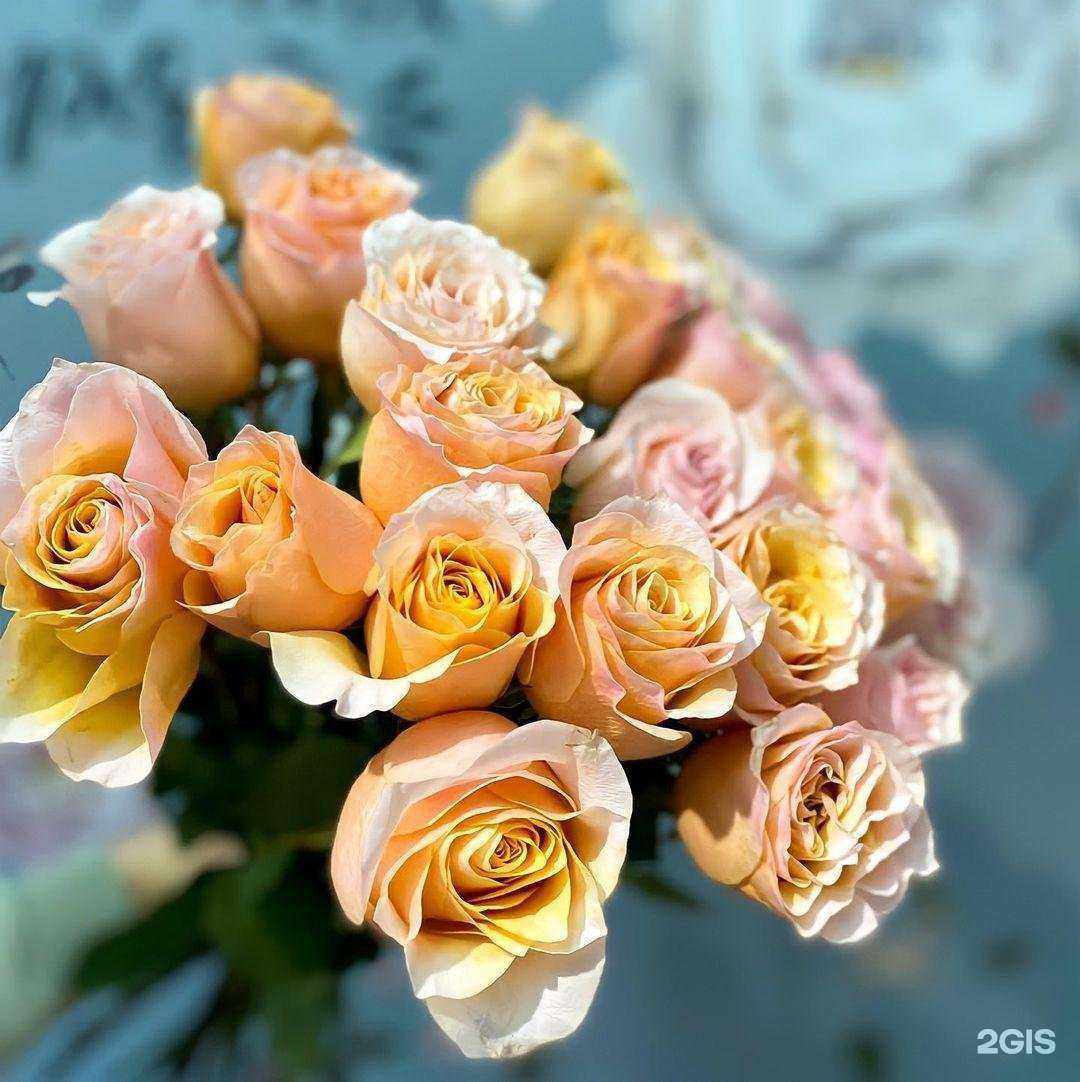 Отзывы на компанию Колибри в г. Кызыл c фото