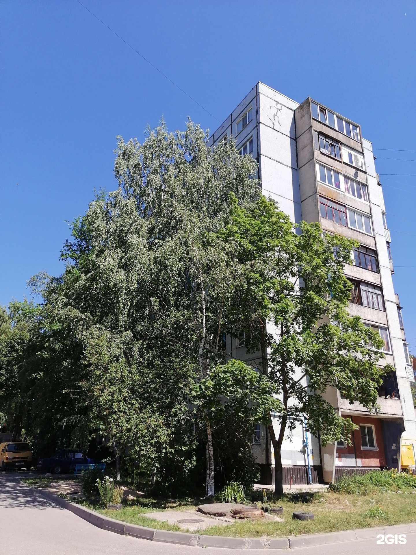 Отзывы на компанию Ближе к Телу в Великом Новгороде c фото - фотография 2 из 2