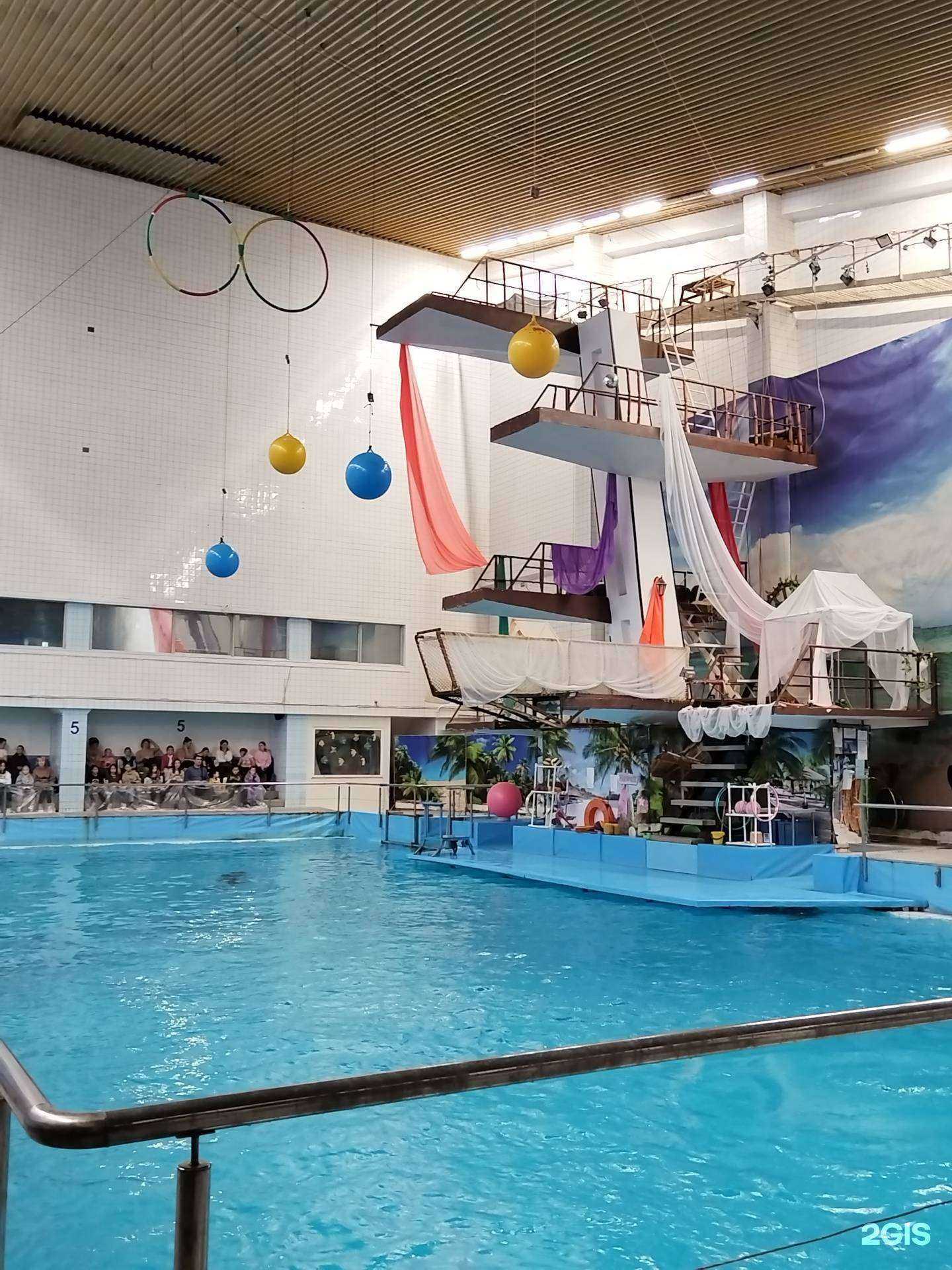 Отзывы на компанию Дельфин в Набережных Челнах c фото