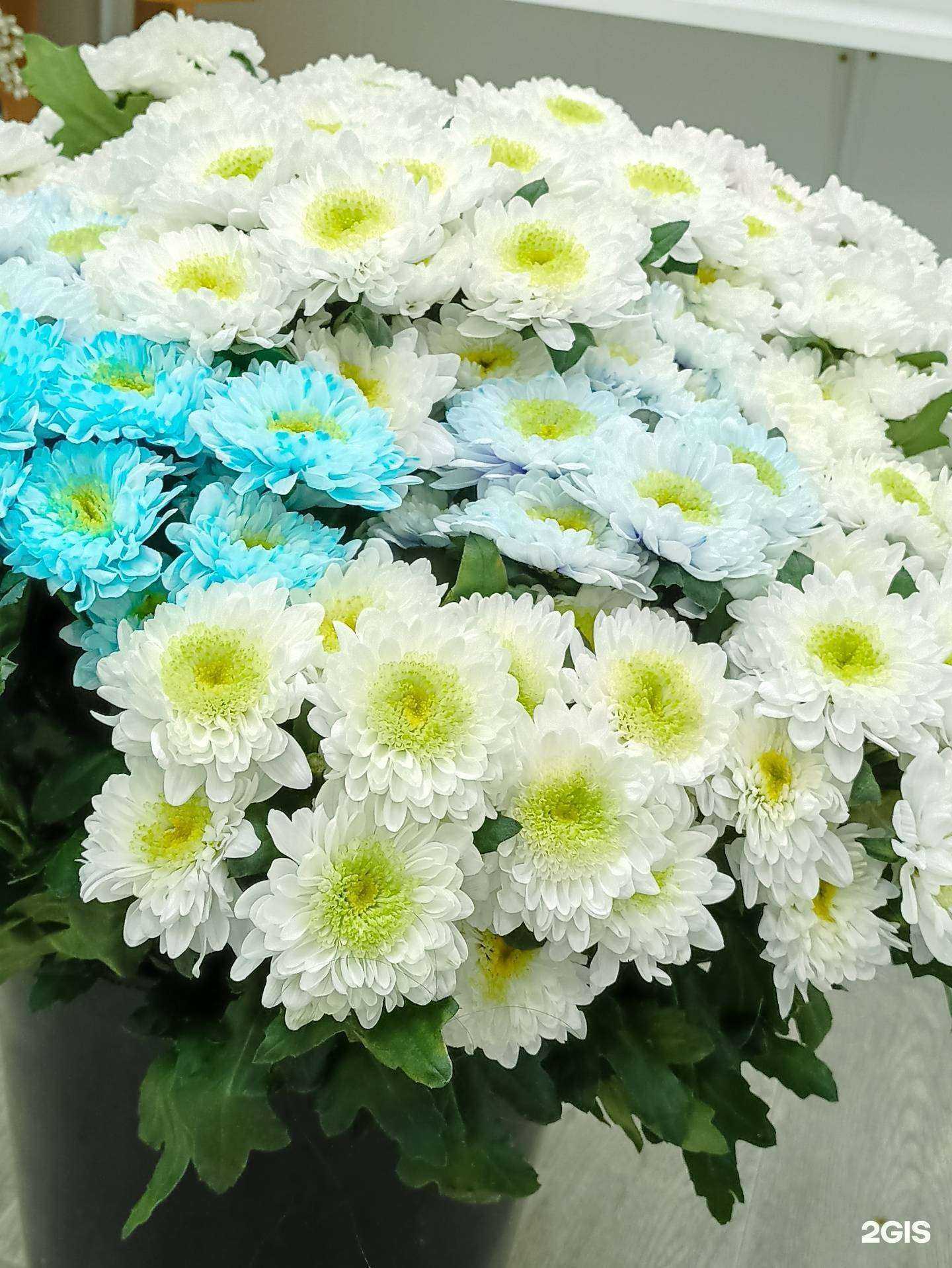 Отзывы на компанию Все пучком в Красноярске c фото