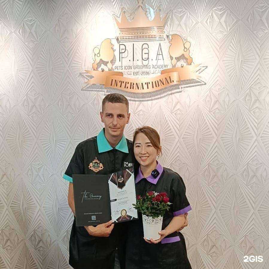 Отзывы на компанию Рэсси в Бийске c фото