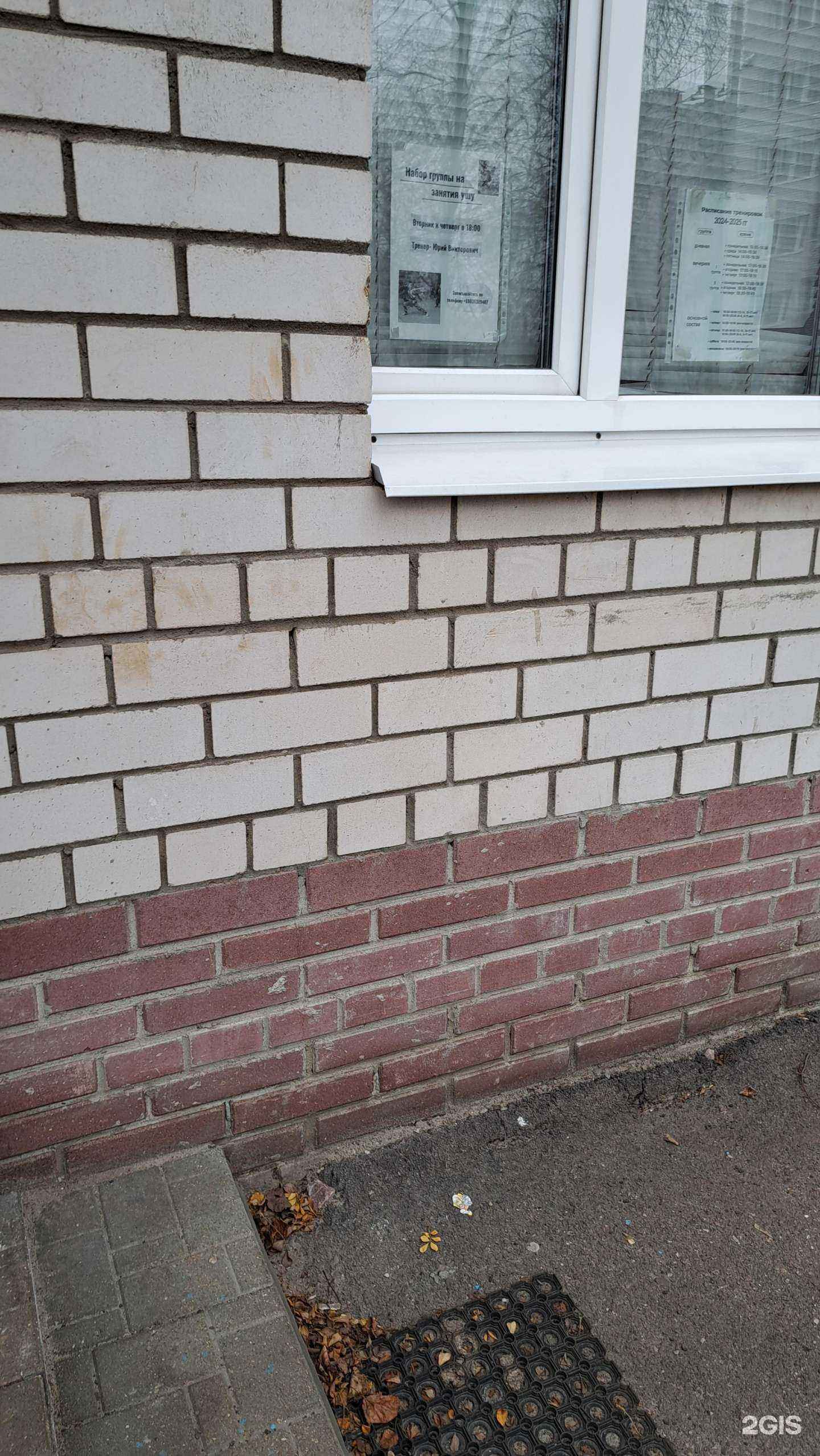 Отзывы на компанию Секция ушу в г. Ярославль c фото