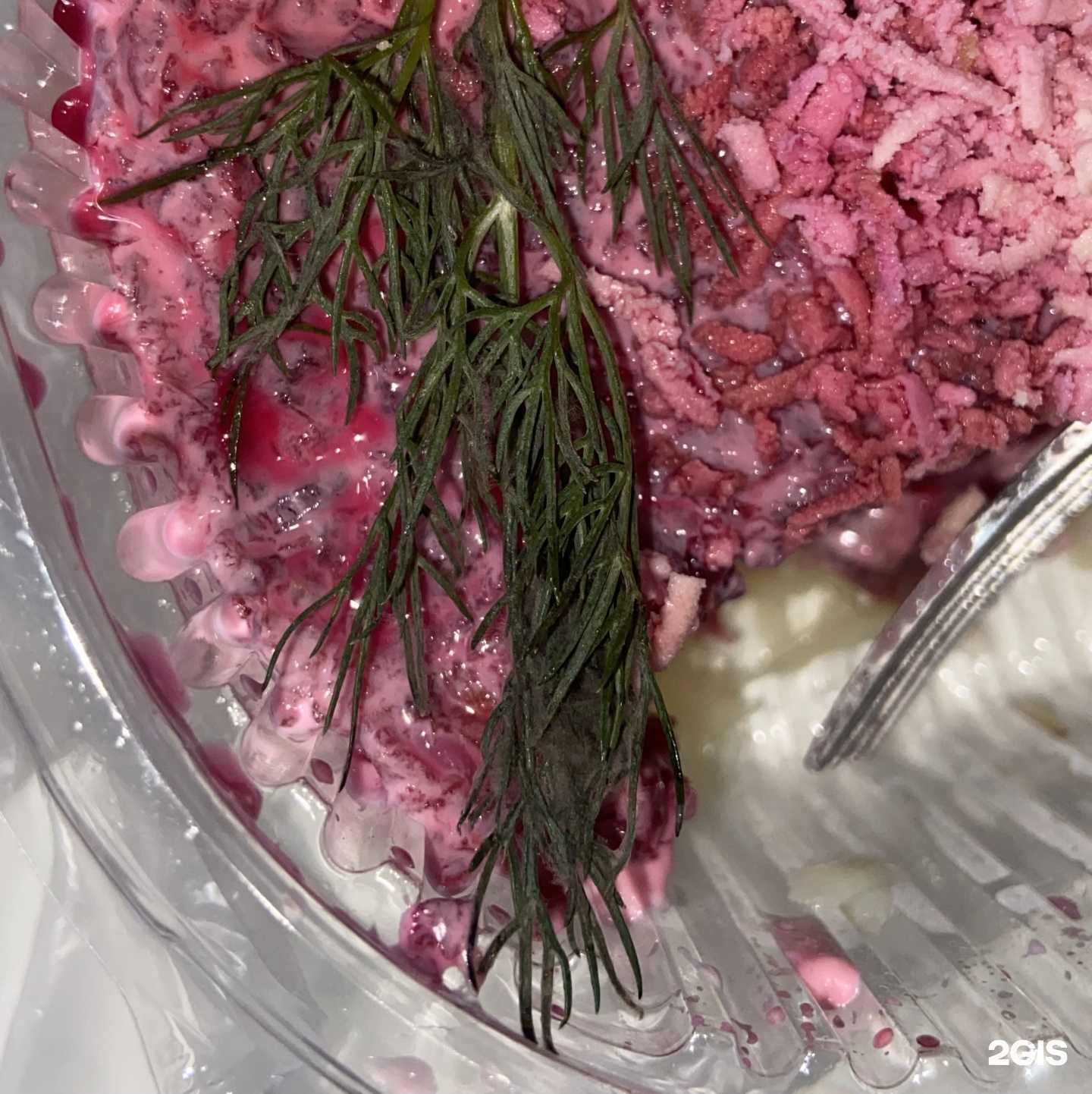 Отзывы на компанию Testo в г. Казань c фото