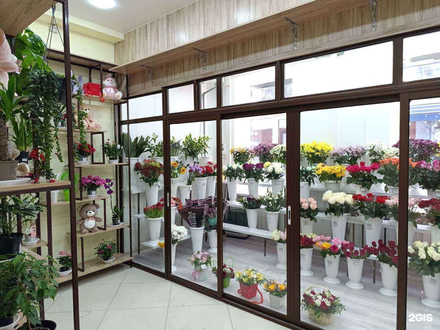 Отзывы на компанию Азалия в Томске c фото