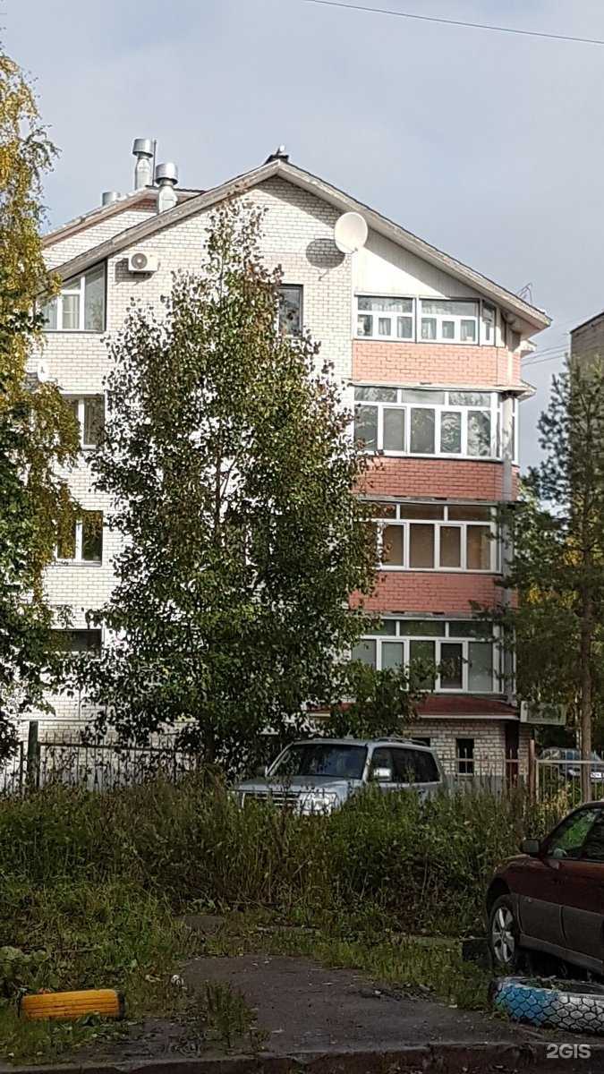 Отзывы на компанию Белый медведь в Архангельске c фото - фотография 2 из 2