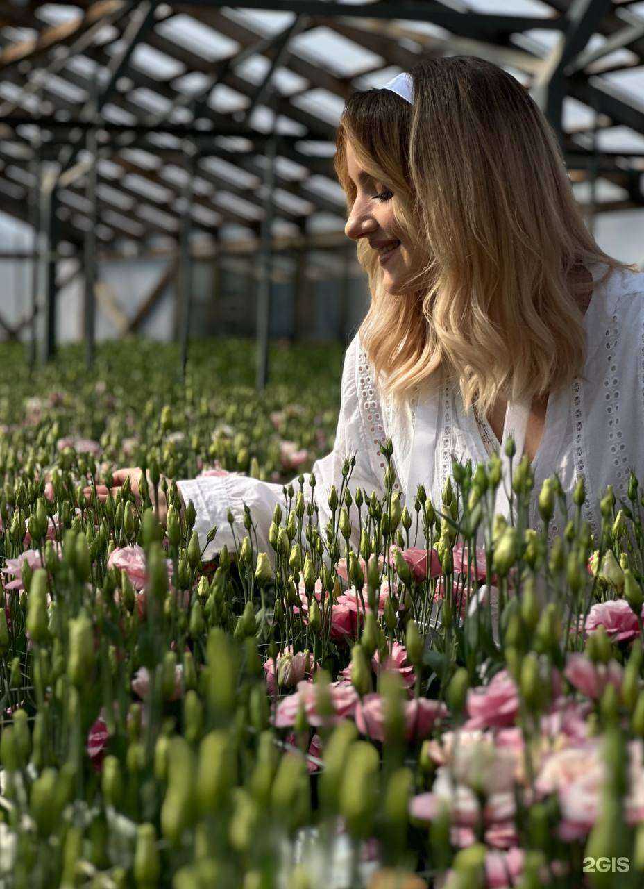 Отзывы на компанию Elita flowers в Ставрополе c фото