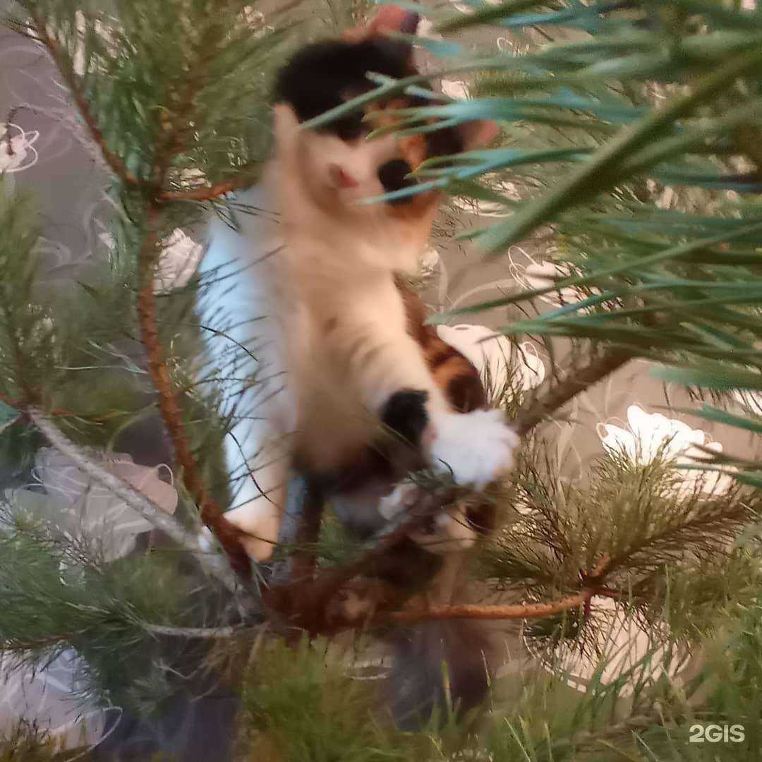 Отзывы на компанию Магазин детских товаров в г. Жуковский c фото