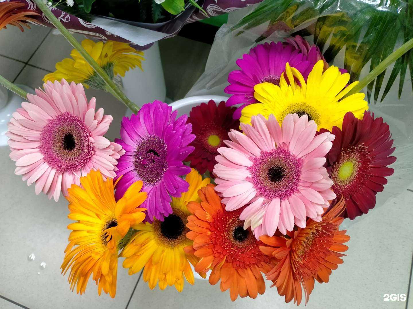 Отзывы на компанию Маргаритка в Кургане c фото