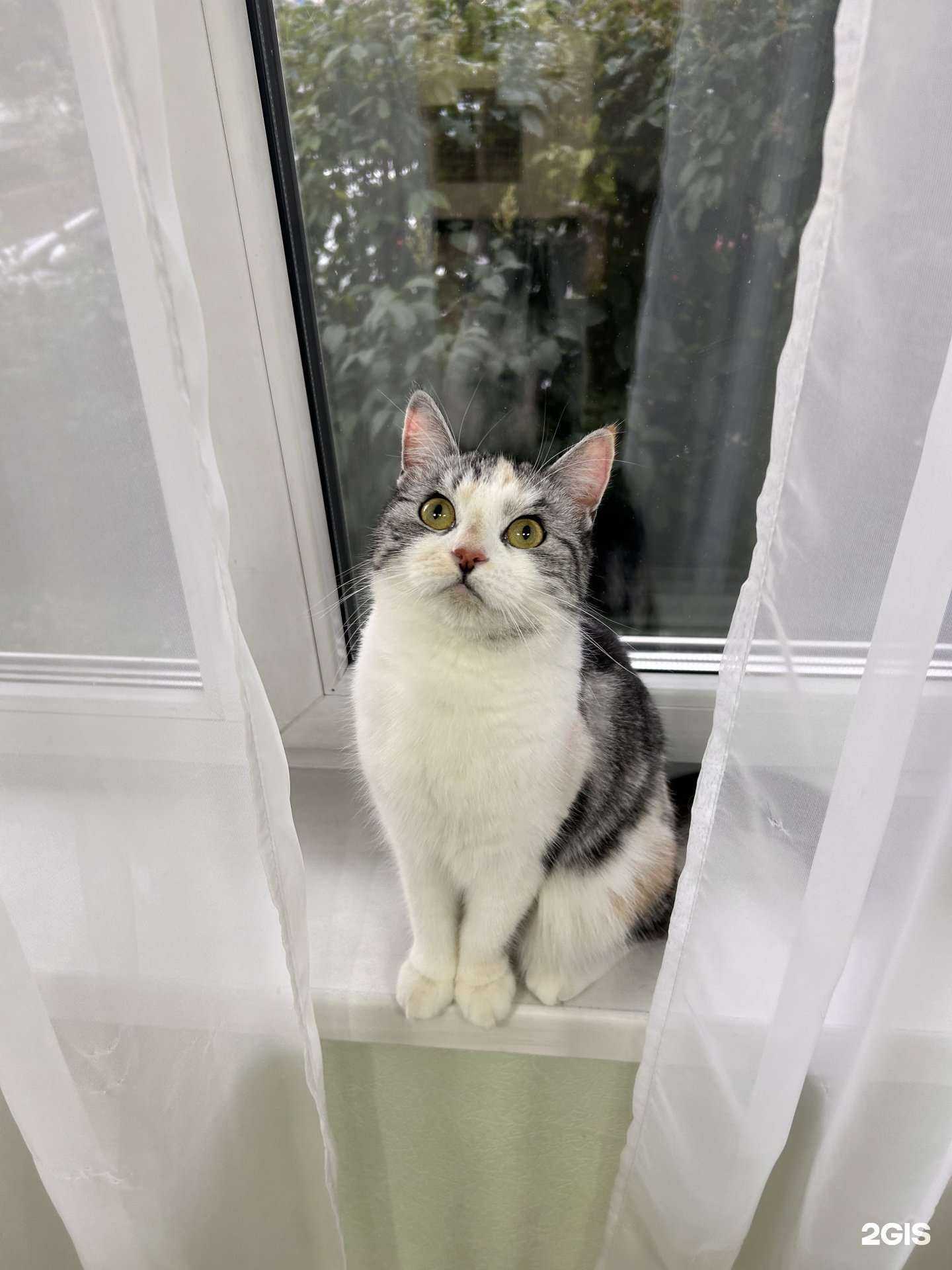 Отзывы на компанию Алекс на Бали в Красноярске c фото