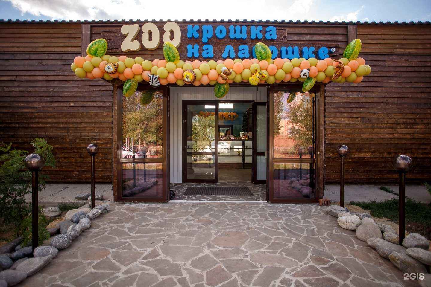 Отзывы на компанию Крошка на ладошке в Волжском c фото