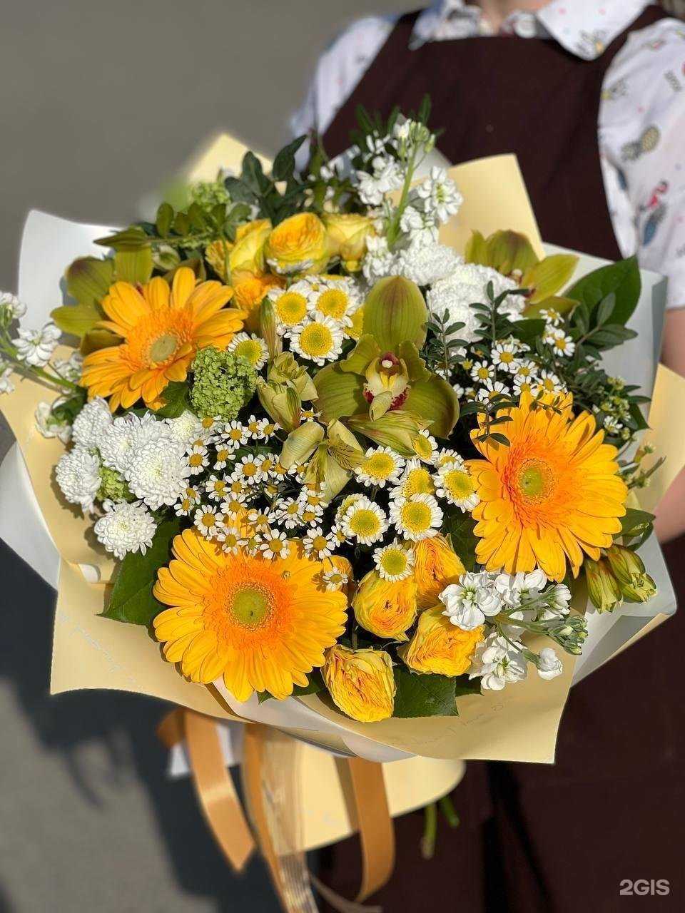 Отзывы на компанию Зеленый мир в Йошкар-Оле c фото