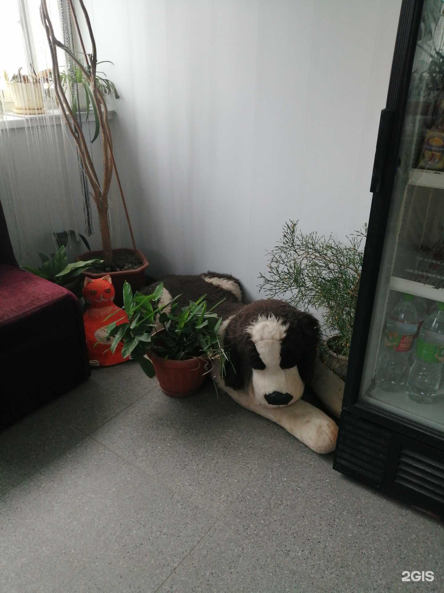 Отзывы на компанию Купидон в Владивостоке c фото