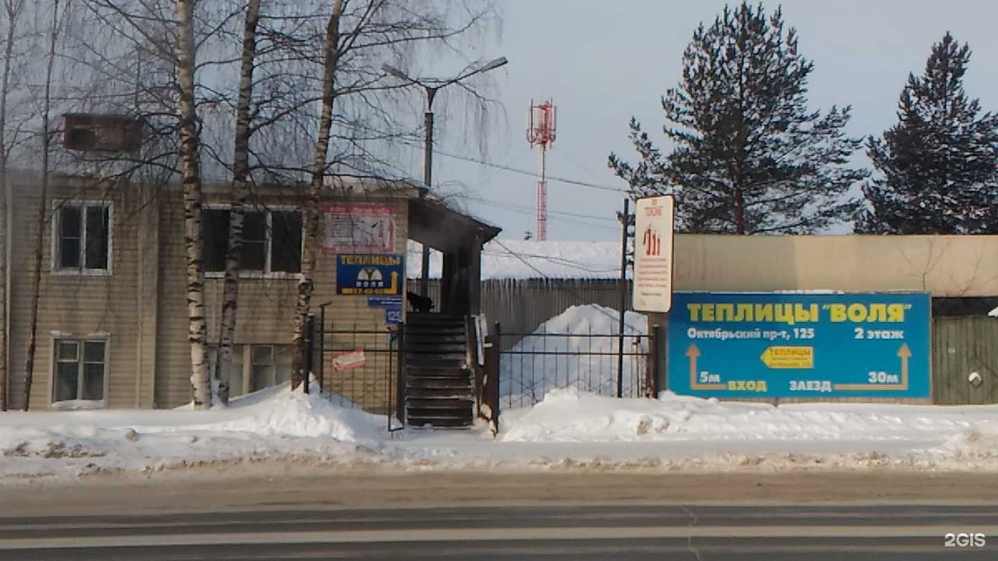 Отзывы на компанию Воля в Сыктывкаре c фото