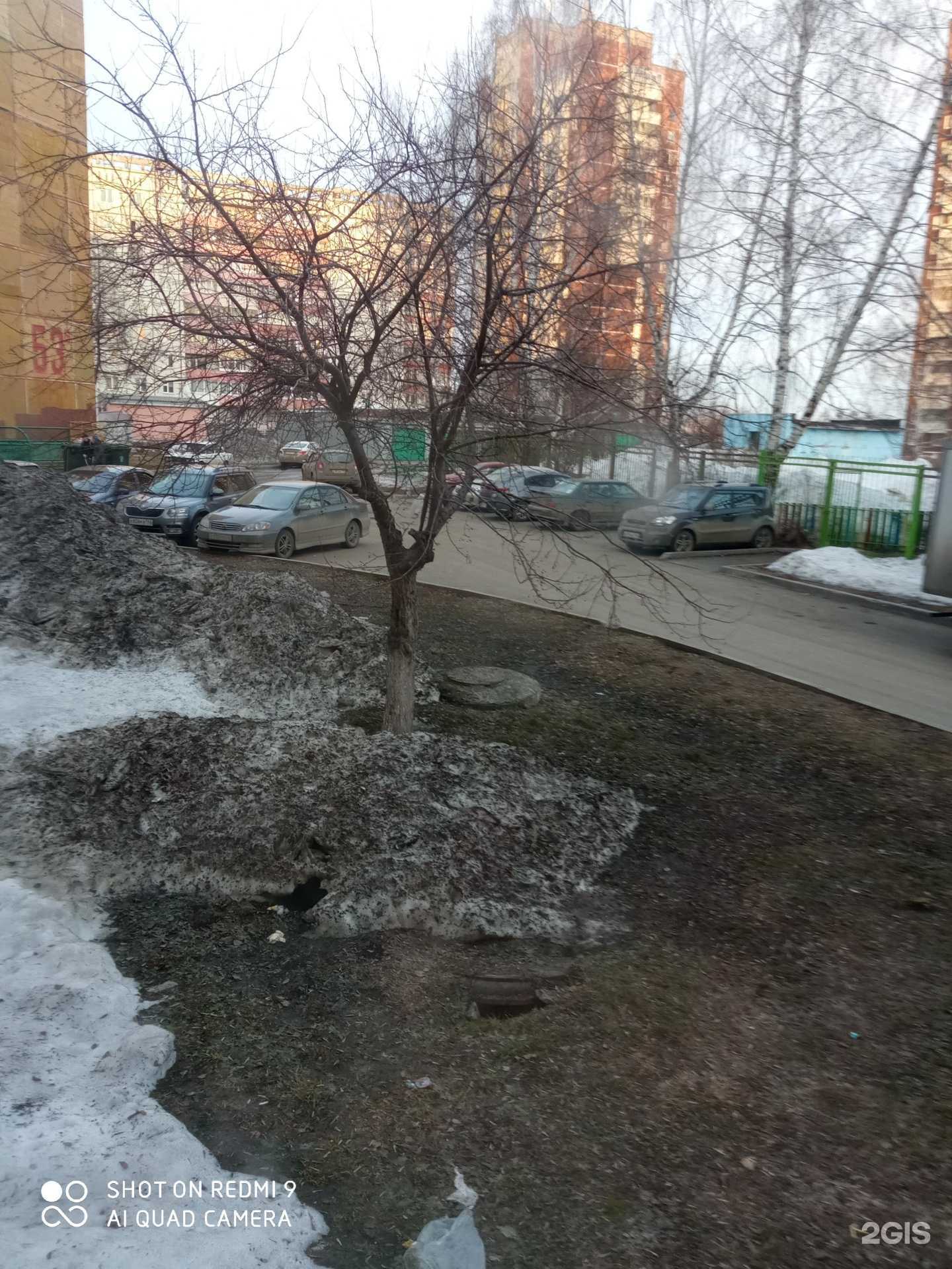 Отзывы на компанию Про-перевозки в Кемерове c фото - фотография 2 из 2