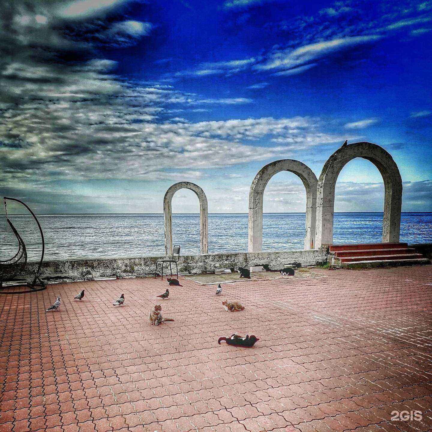 Отзывы на компанию Elysiumterra apartments в г. Сочи c фото