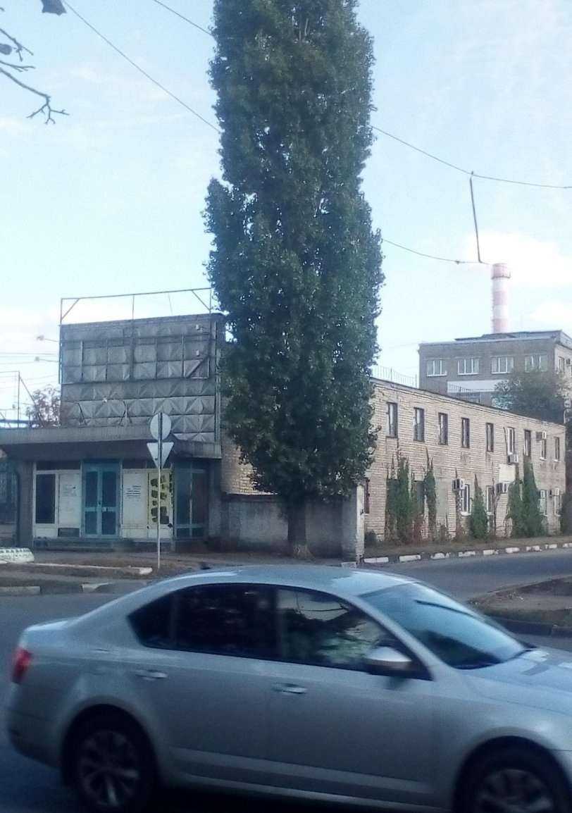 Отзывы на компанию Вега в г. Воронеж c фото