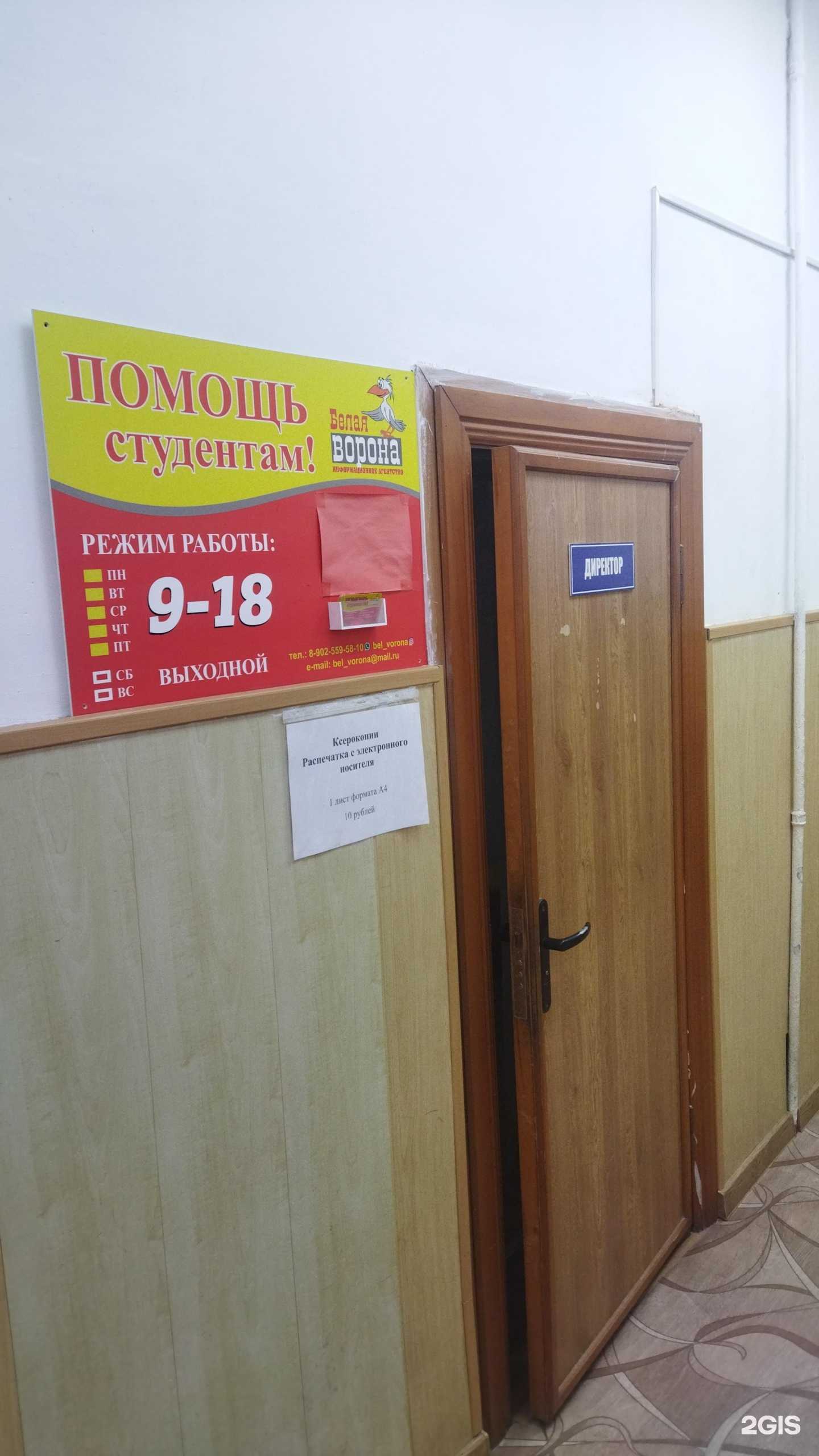 Отзывы на компанию Белая ворона в Уссурийске c фото