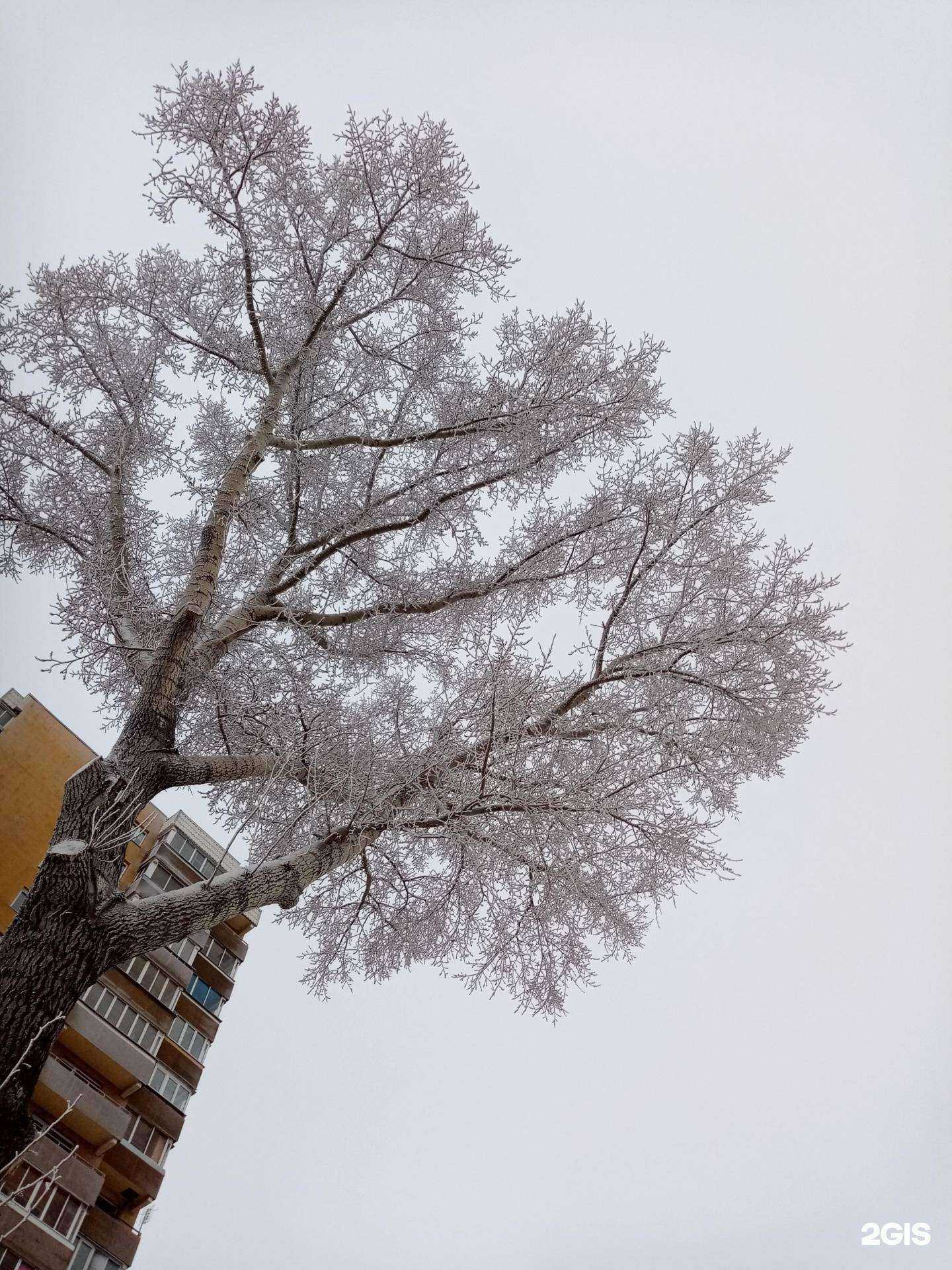 Отзывы на компанию Своя Лаборатория в Новосибирске c фото - фотография 2 из 2