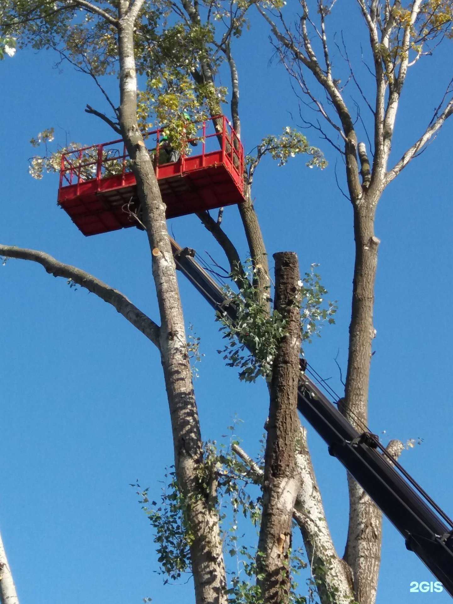 Отзывы на компанию Кровстав в г. Воронеж c фото