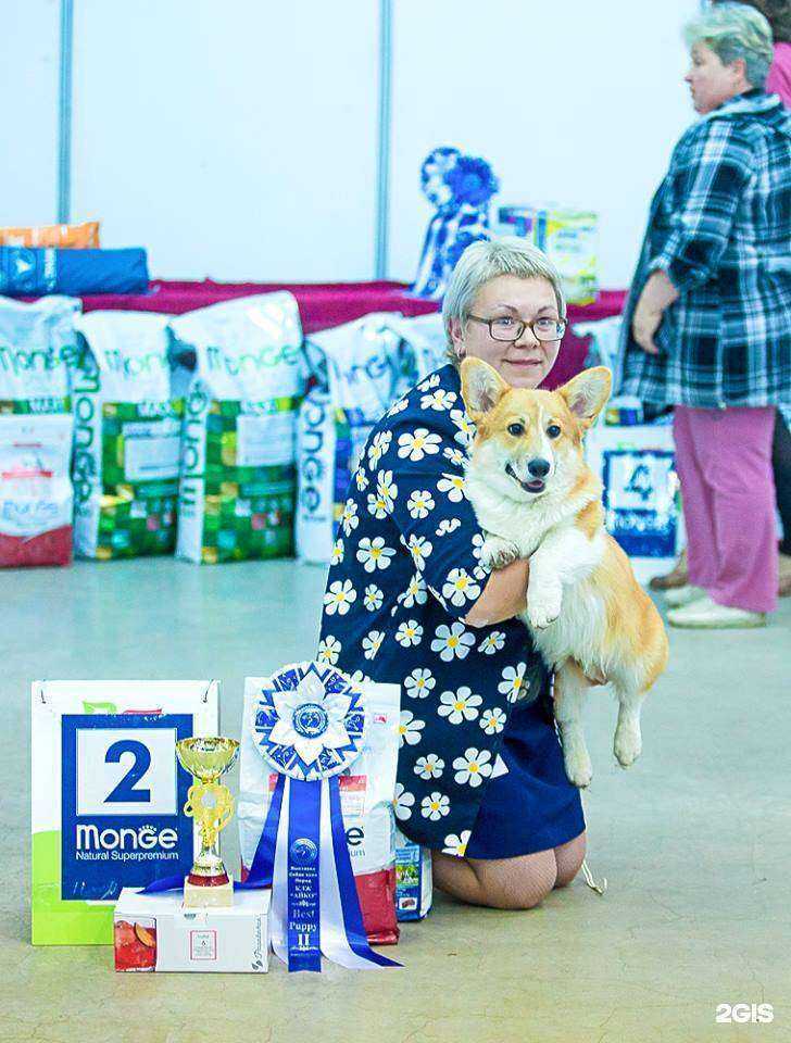 Отзывы на компанию Хвостун в Ижевске c фото