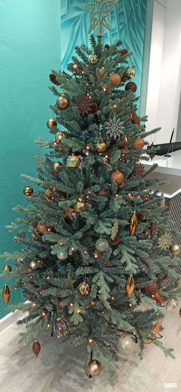 Отзывы на компанию АльфаДент в г. Оренбург c фото