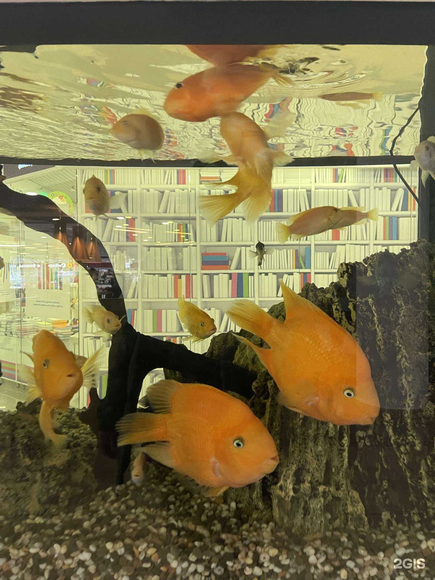 Отзывы на компанию Море желаний в г. Томск c фото