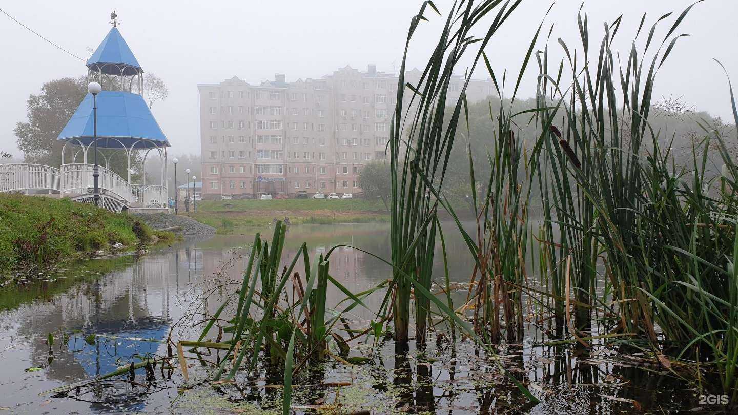 Отзывы на компанию Мэри Поппинс  в Бронницах c фото - фотография 2 из 2