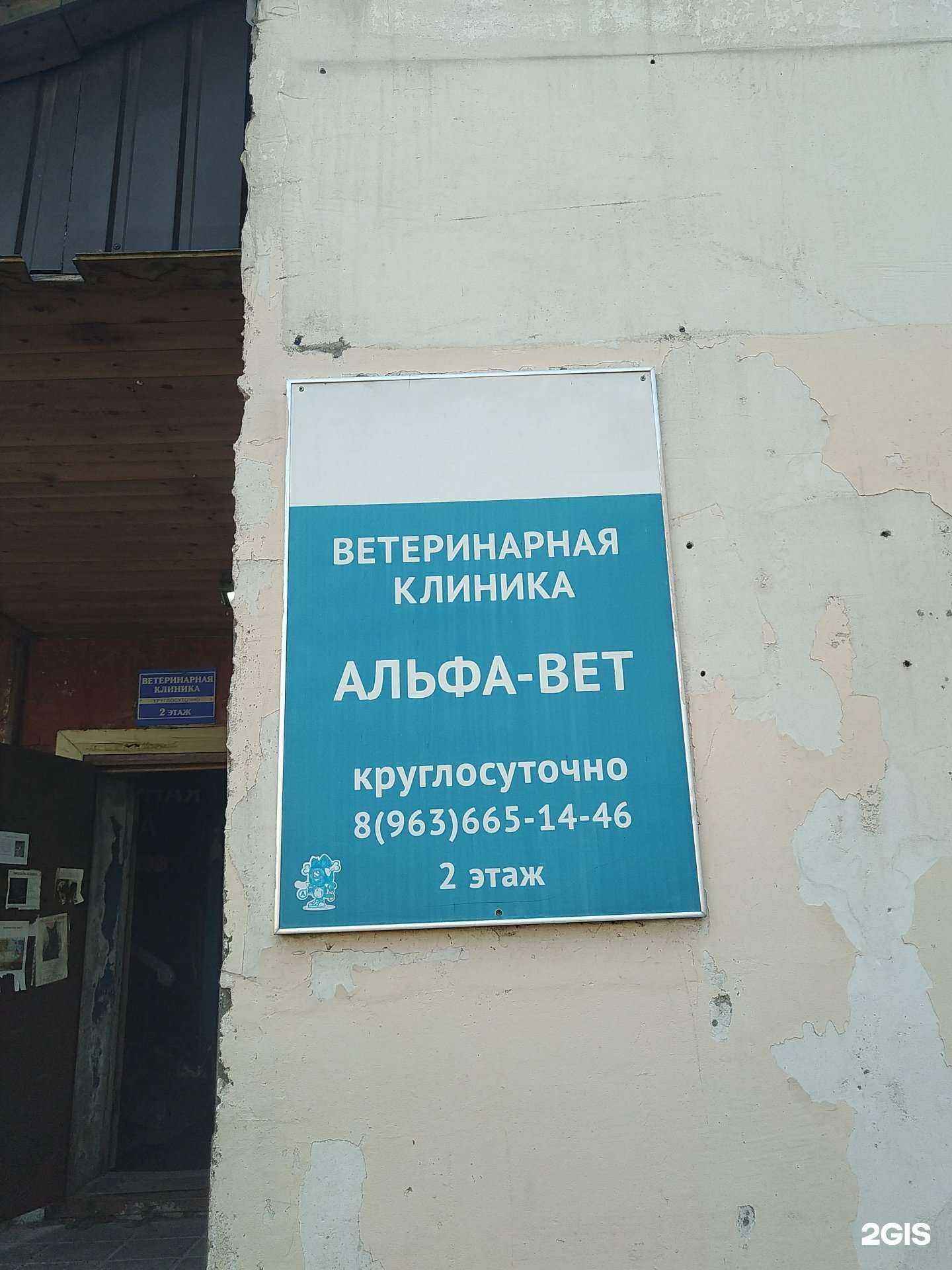 Отзывы на компанию Альфа-Вет в Пушкине c фото