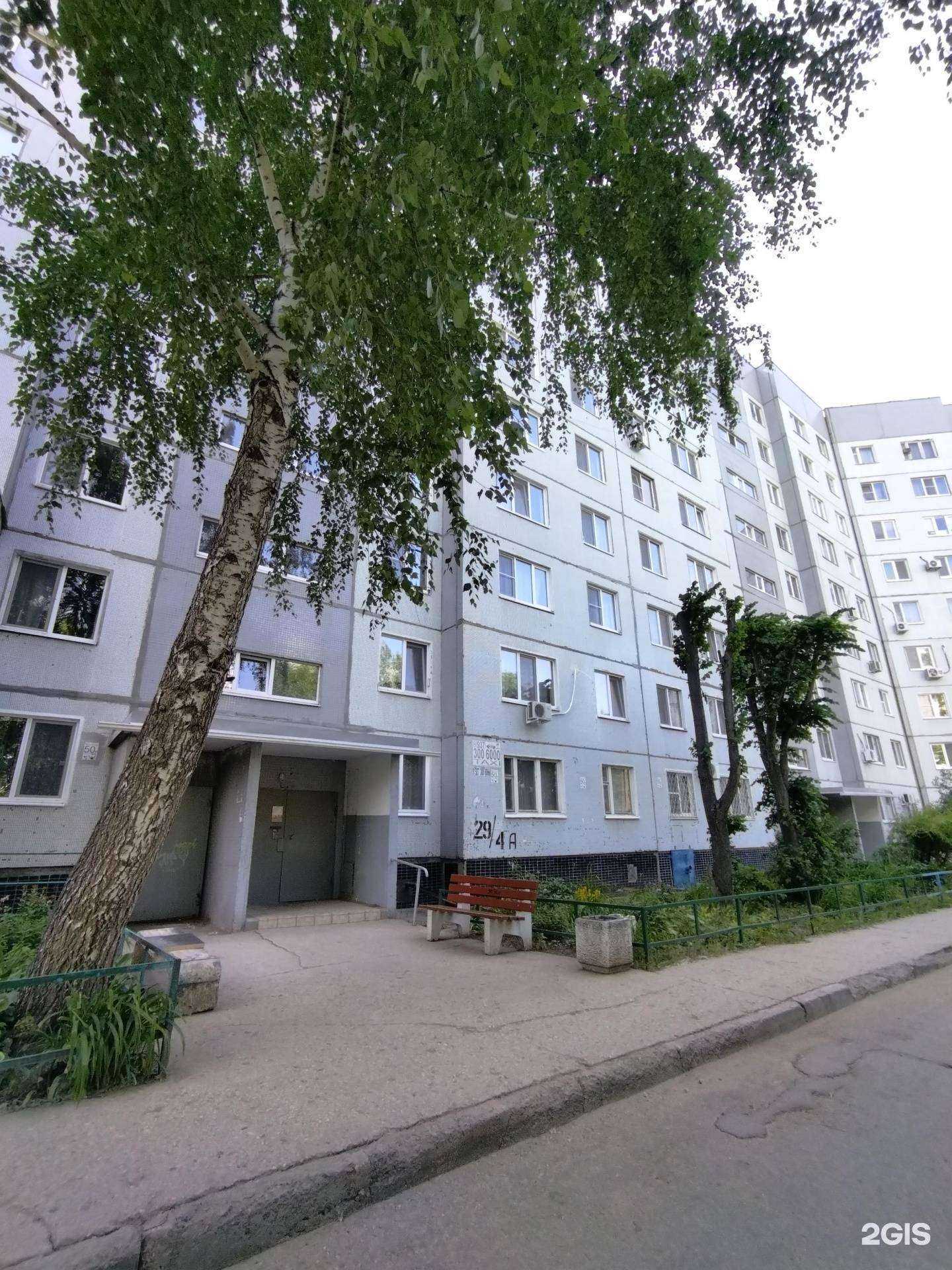 Отзывы на компанию Дента Плюс в Балакове c фото - фотография 2 из 2