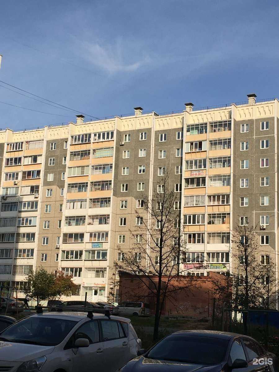 Отзывы на компанию Студия стрижки собак в Челябинске c фото - фотография 2 из 2