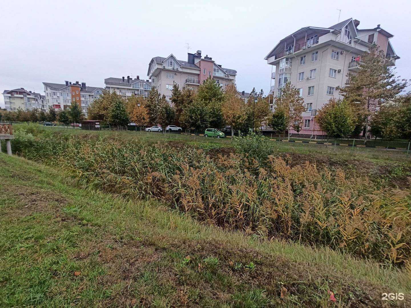 Отзывы на компанию Дом с характером Инны Мейрабян в Краснодаре c фото - фотография 2 из 2