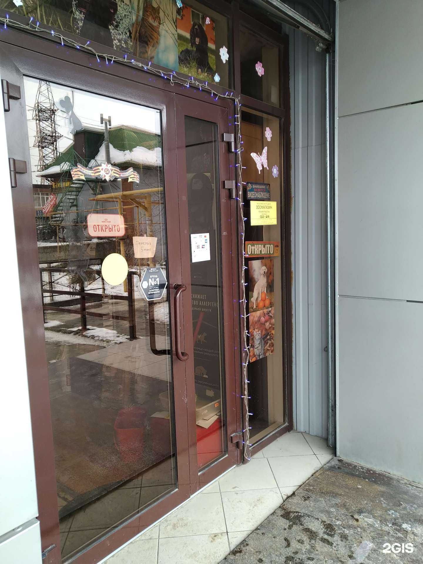 Отзывы на компанию Ваш zoo в Новороссийске c фото