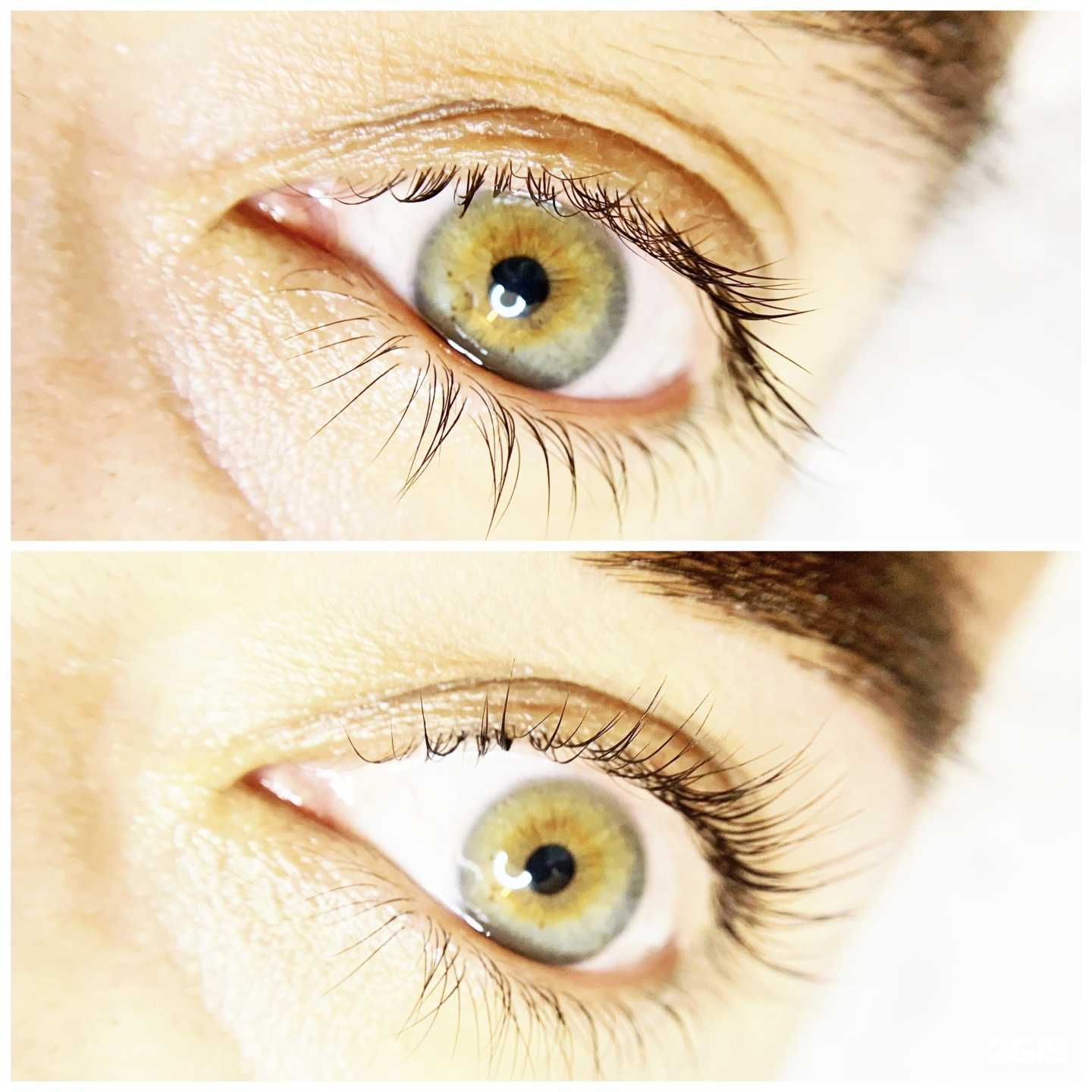 Отзывы на компанию Myakota_lami в Екатеринбурге c фото