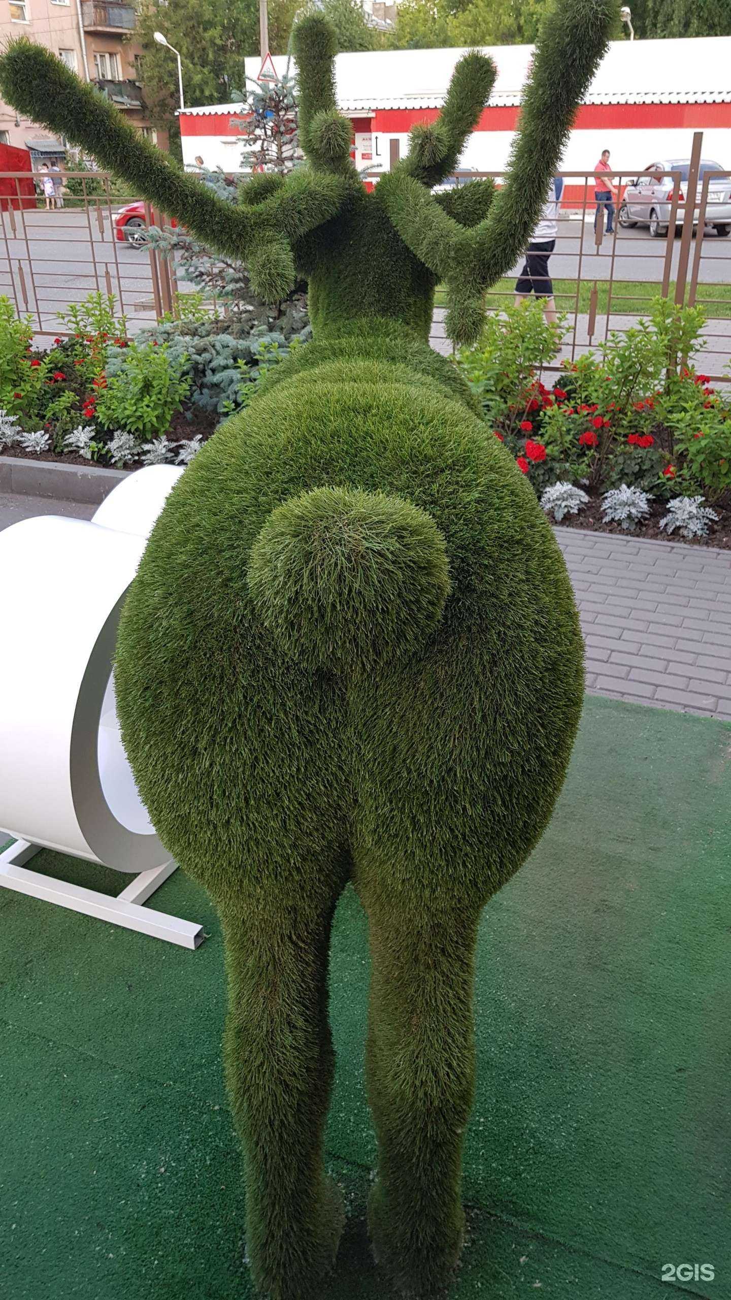 Отзывы на компанию Кипарис в Ижевске c фото - фотография 2 из 2