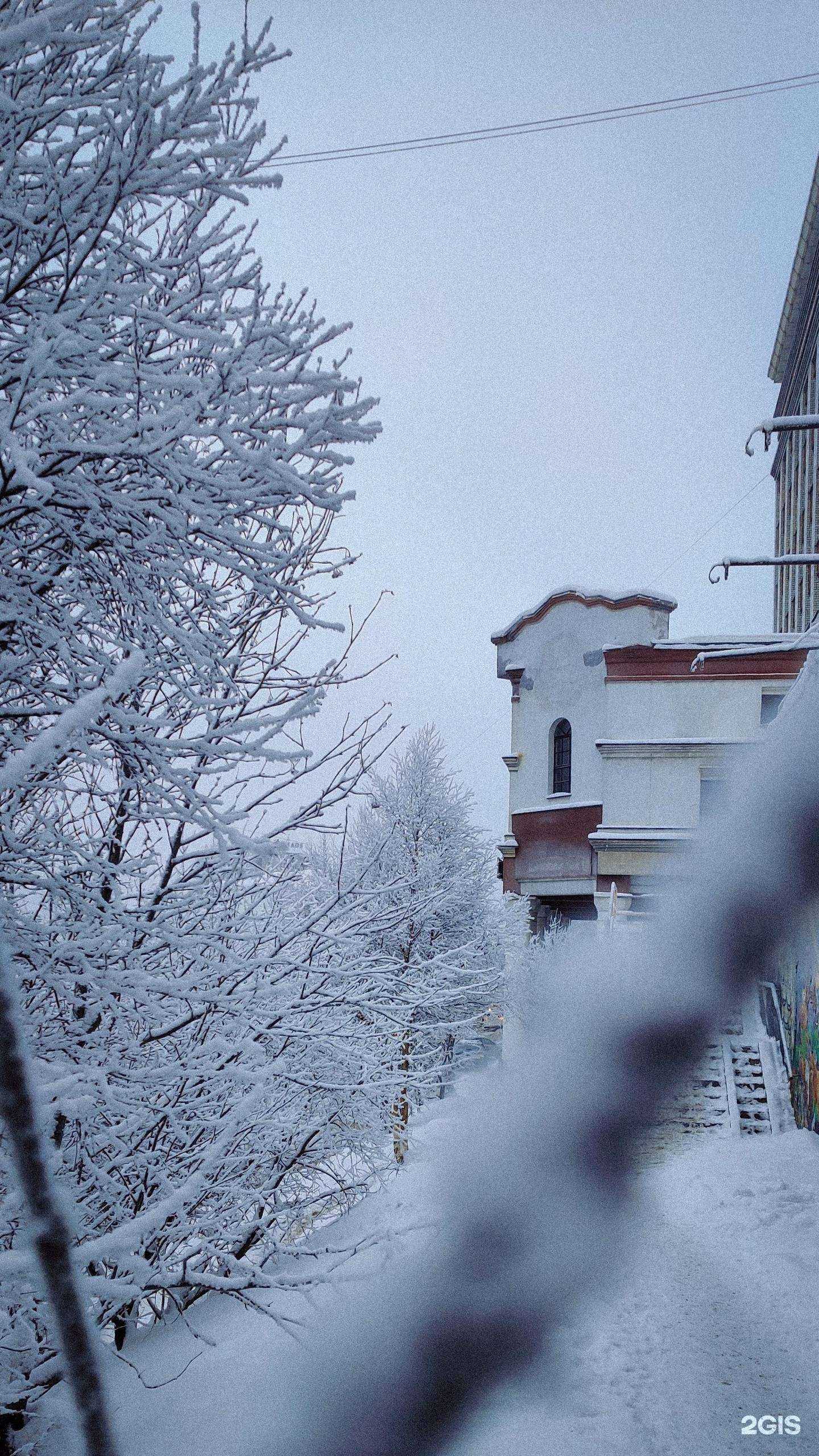 Отзывы на компанию Винго Клин в Мурманске c фото - фотография 2 из 2