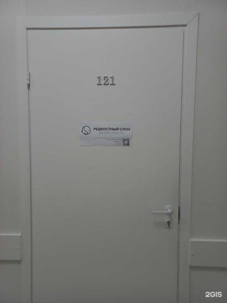 Отзывы на компанию Редкостный слон в г. Жигулевск c фото