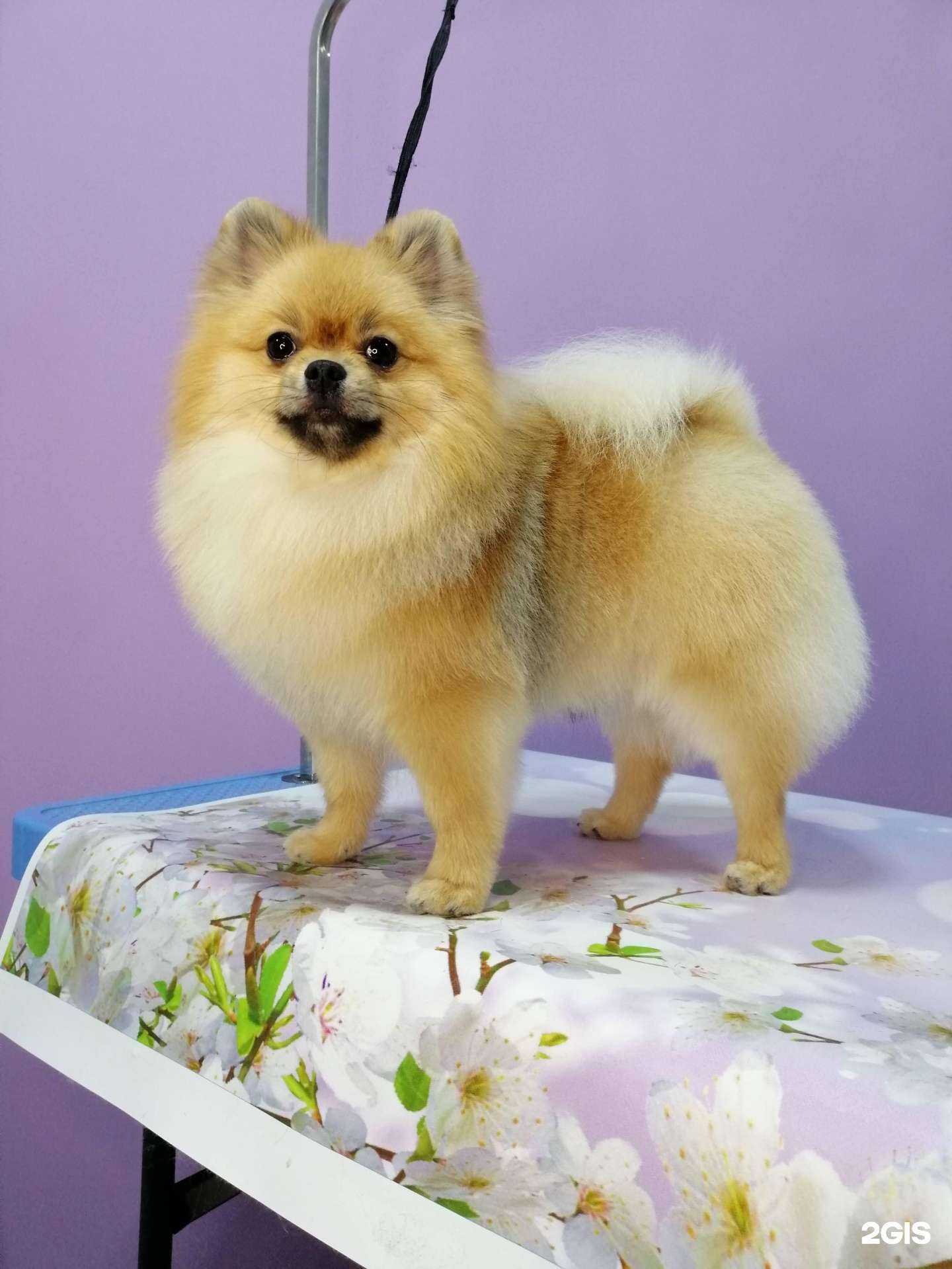 Отзывы на компанию МиниБон в г. Краснодар c фото