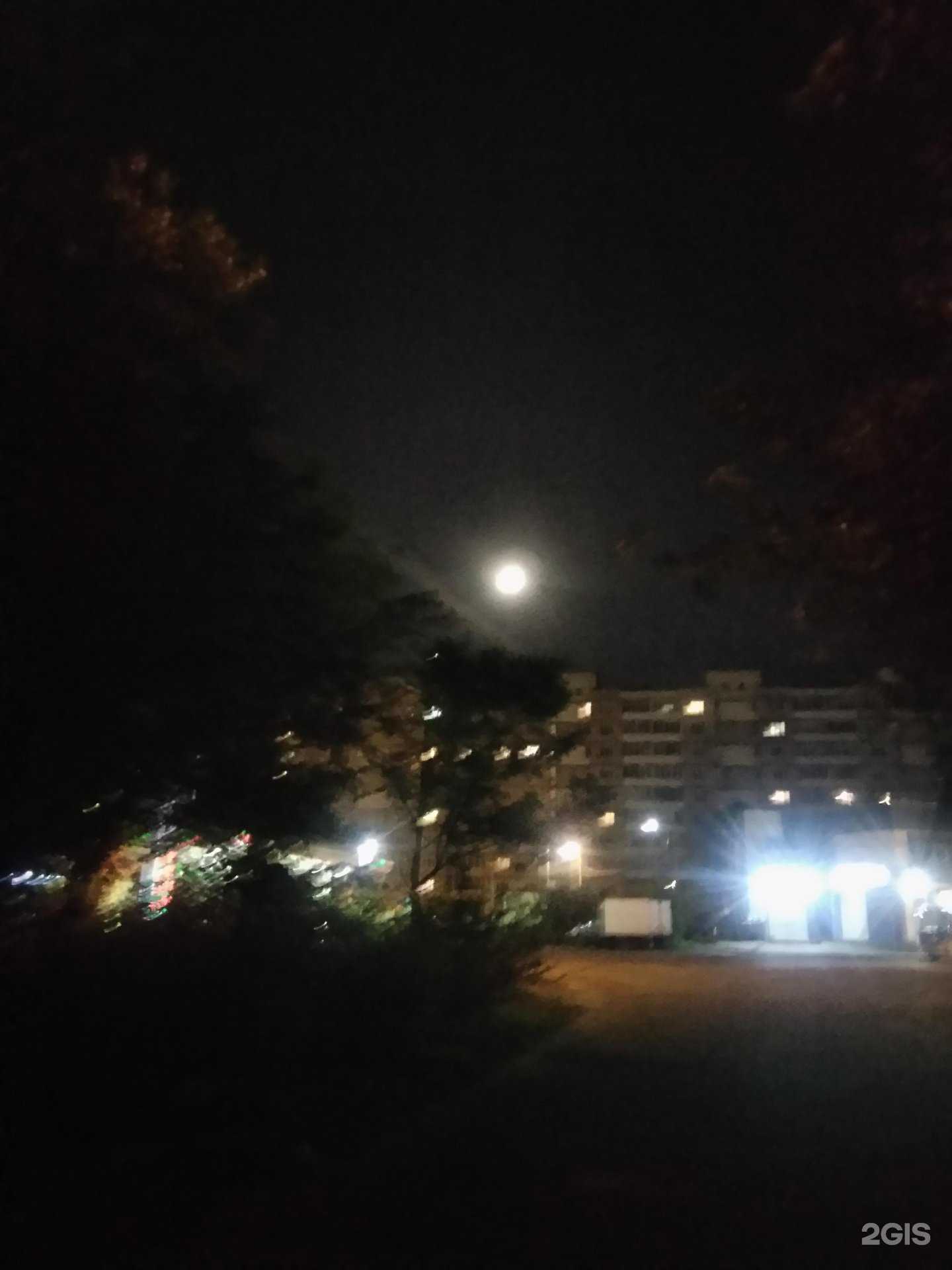 Отзывы на компанию Тверская Федерация Панкратиона в Твери c фото - фотография 2 из 2