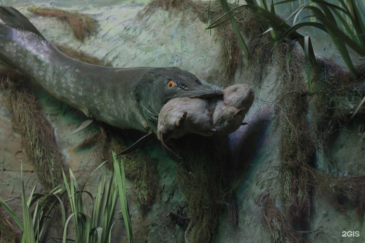 Отзывы на компанию Биосфера в Воронеже c фото - фотография 2 из 2