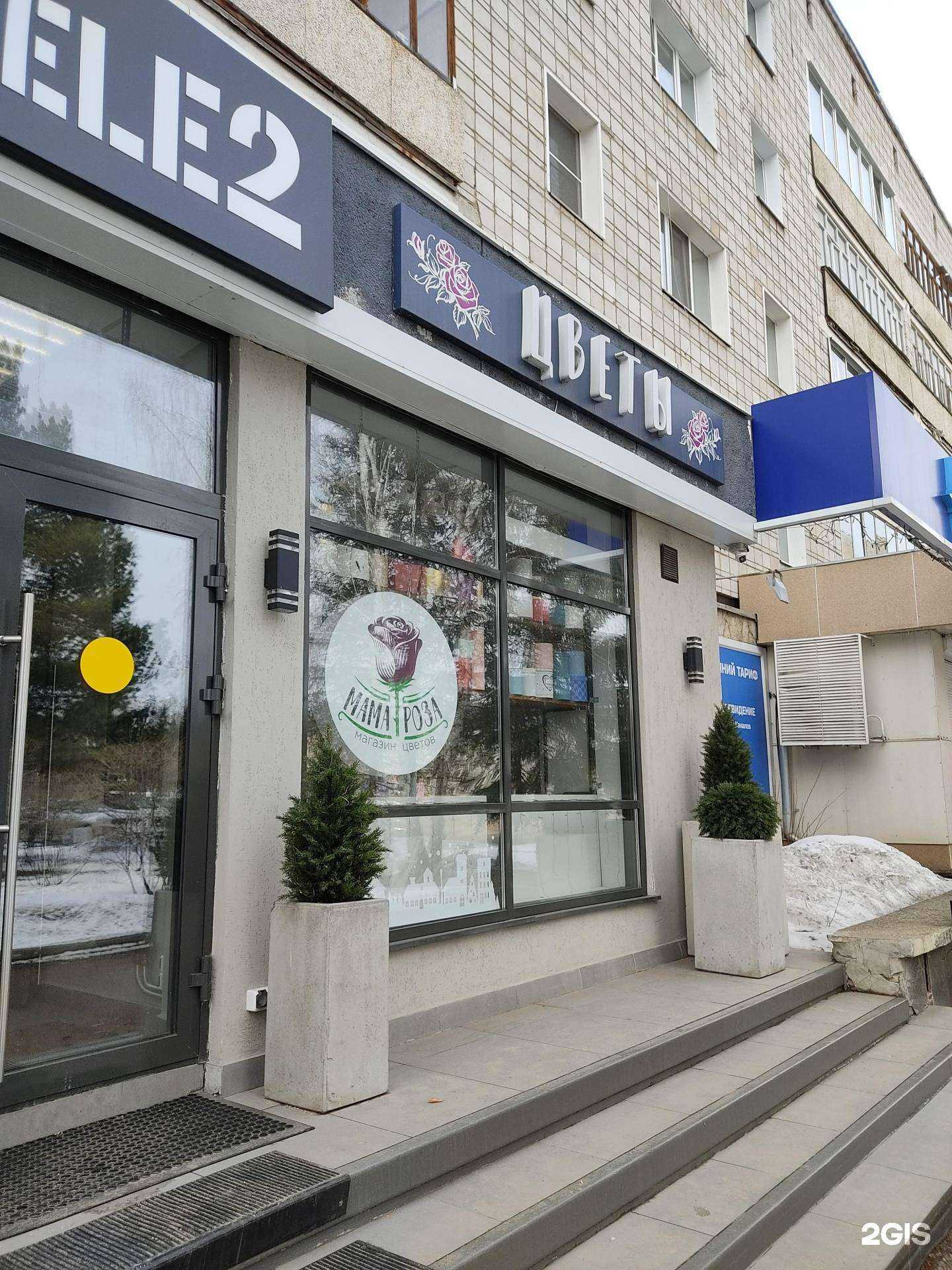 Отзывы на компанию Мама роза в Зеленогорске c фото