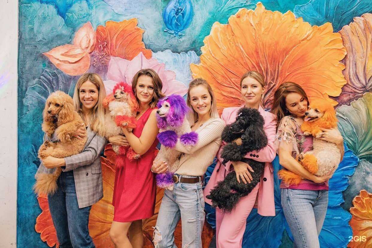 Отзывы на компанию Vasilek loft в г. Коммунарка c фото