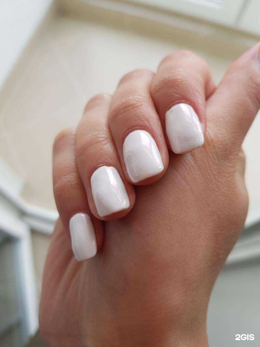 Отзывы на компанию Galatea в Калининграде c фото