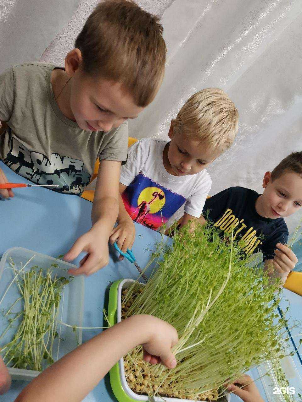 Отзывы на компанию Другой мир в г. Самара c фото