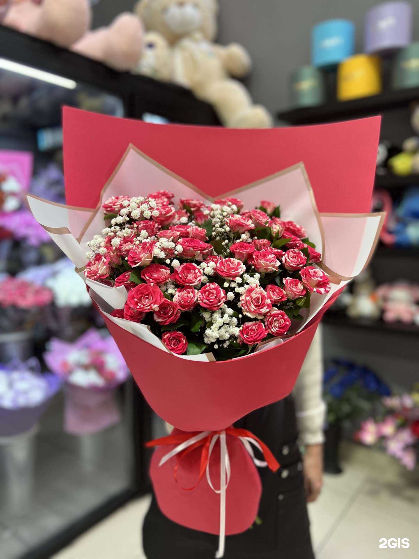 Отзывы на компанию Vasilek lite в г. Омск c фото