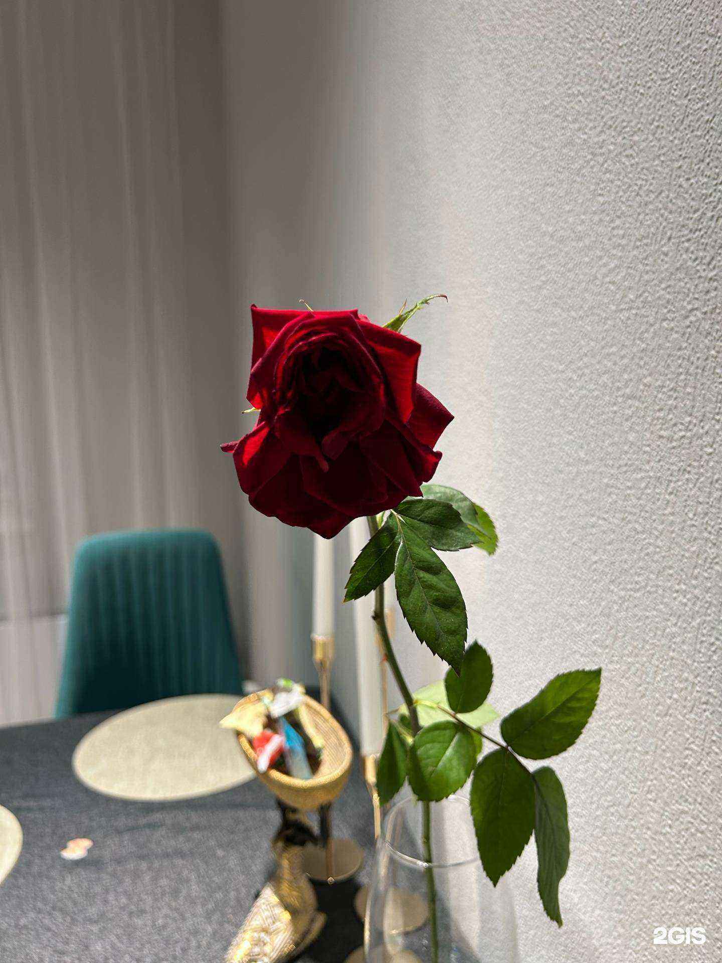 Отзывы на компанию Роса и Роза в Екатеринбурге c фото