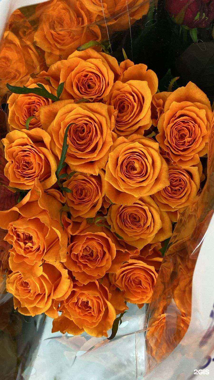 Отзывы на компанию Butonika в г. Сургут c фото