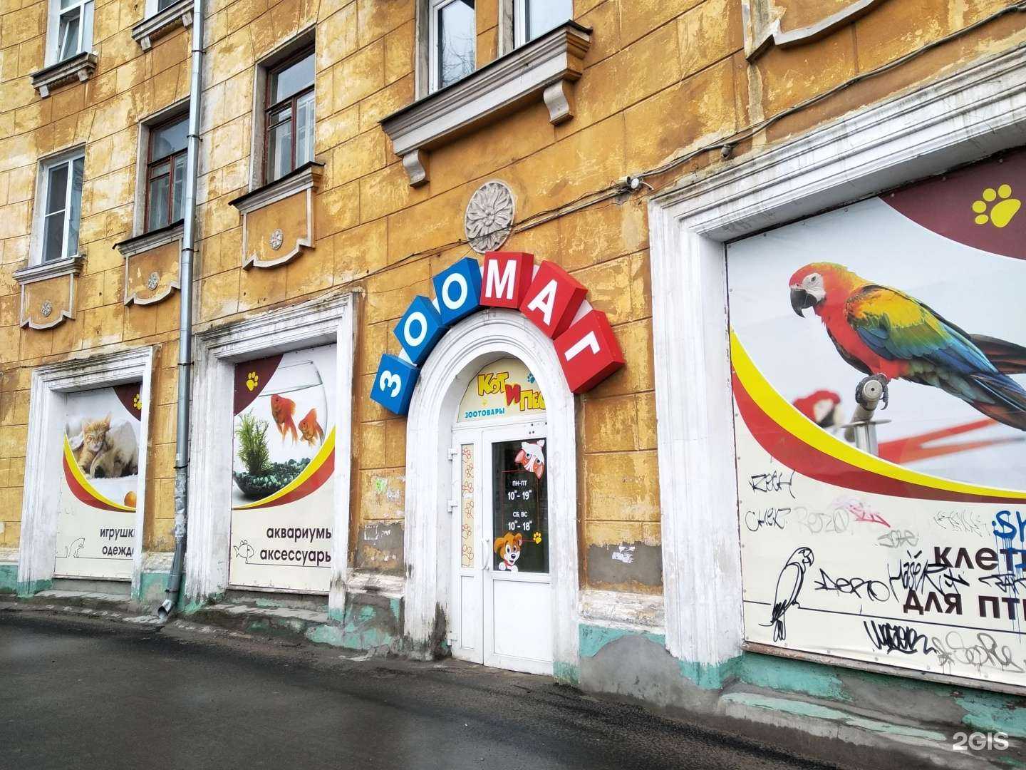 Отзывы на компанию Кот и Пёс в Северодвинске c фото