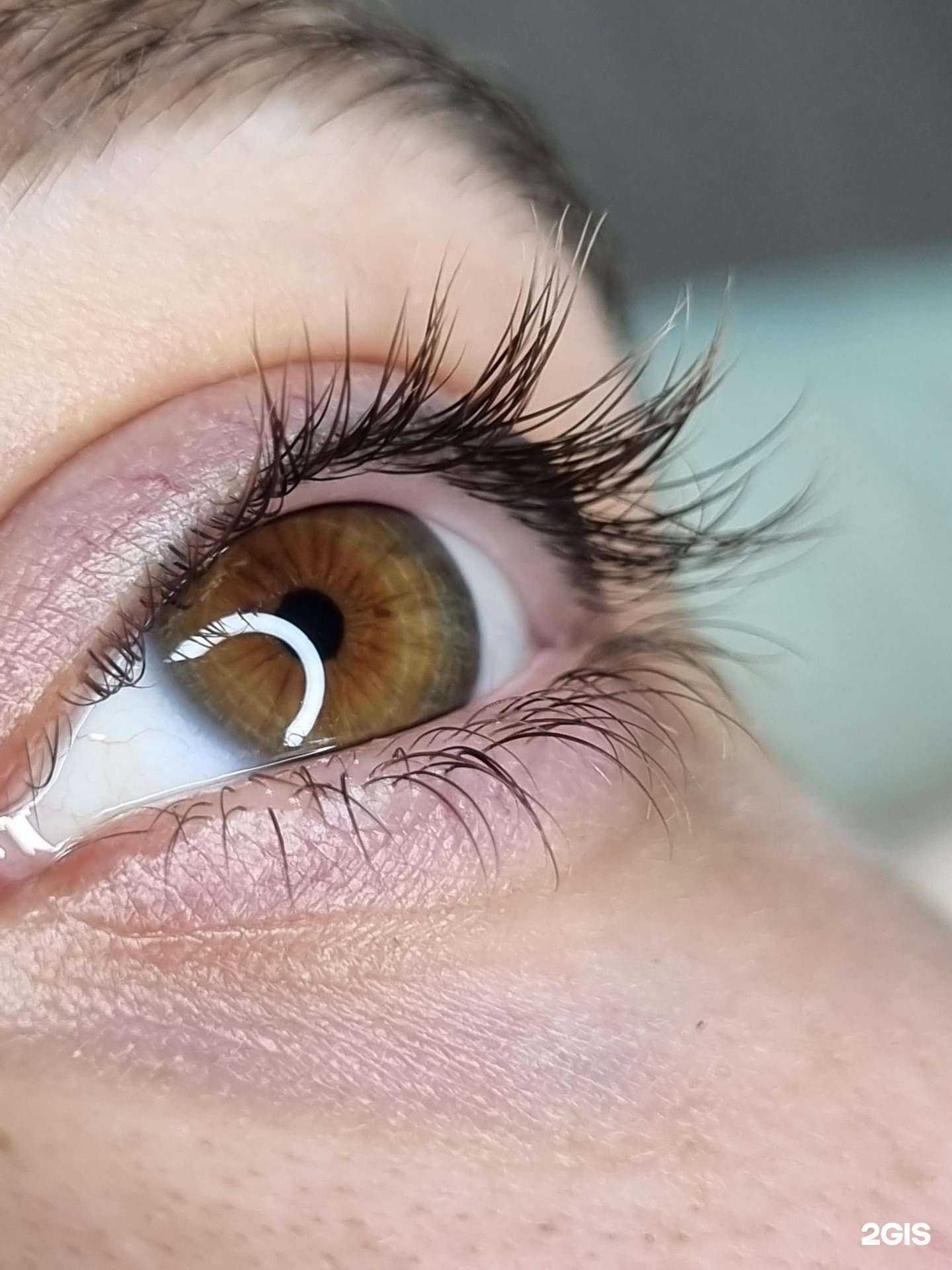 Отзывы на компанию Volkoff_familly в Ростове-на-Дону c фото