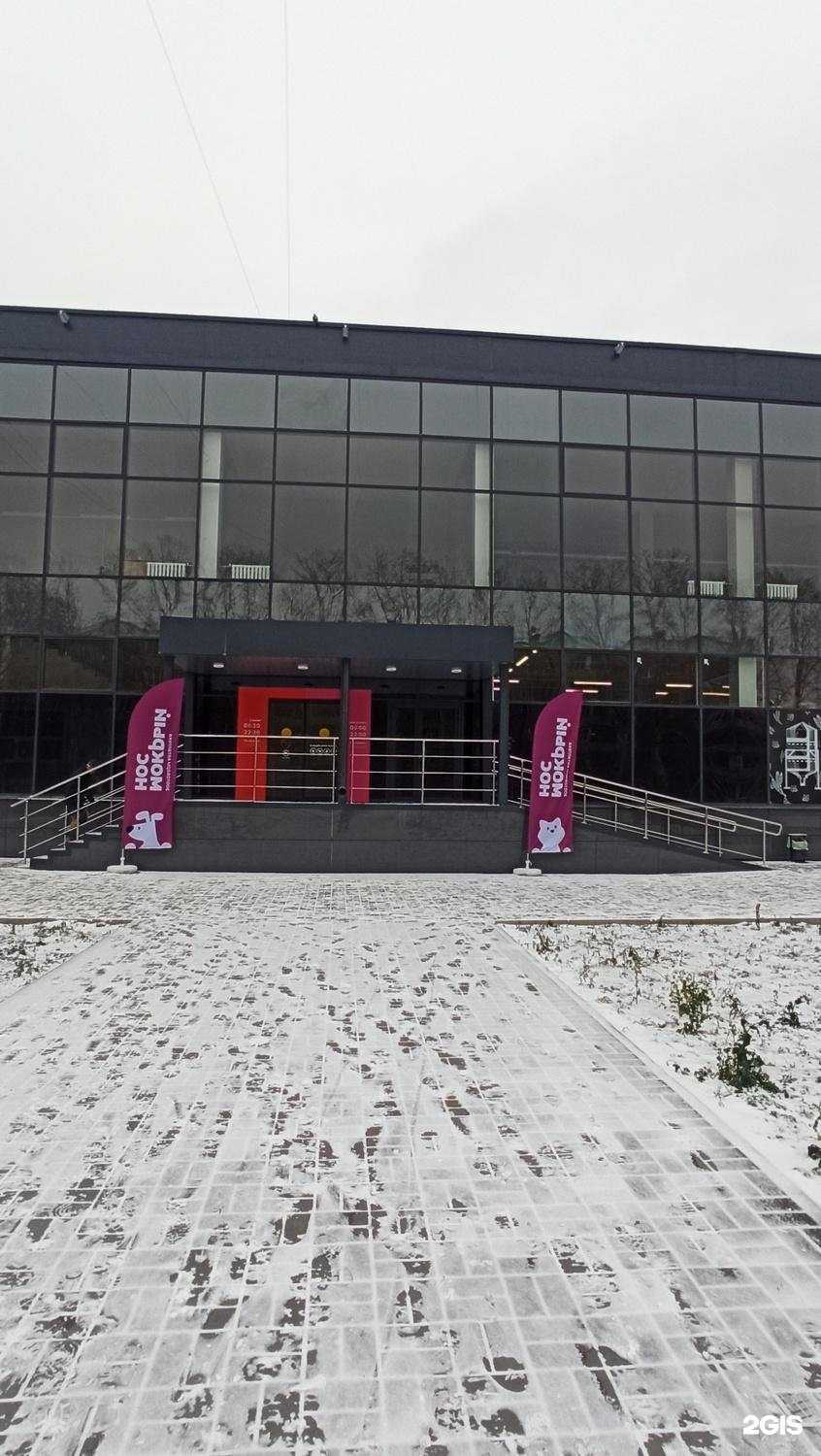 Отзывы на компанию Мокрый нос в Новосибирске c фото